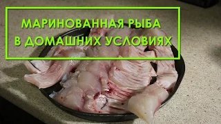 Рецепт приготовления маринованной рыбы